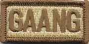 GAANG GEORGIA AIR NATIONAL GUARD FSS SLEEVE DESERT HOOK & LOOP PATCH