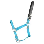 HORSE SIZE- READY MADE - Aqua TURNOUT HALTER Made from BETA BIOTHANE