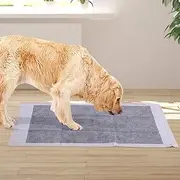 [PAWZ] 100Pcs Bamboo Charcoal Pet Training Pads Ultra Absorbent 60x60cm, Puppy Dog Large Toilet Potty Pee Pad, Disposable Leak-Proof Change Blanket Mat