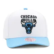 Mitchell & Ness Chicago Bulls Precurved Snapback Hat Jordan 11 Retro Legend Blue