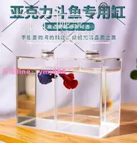 在飛比找樂天市場購物網優惠-桌面魚缸 小魚缸 小型鬥魚缸亞克力泰國鬥魚雙格缸高清客廳辦公