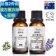 【 Warm 】複方薰衣草精油100ml+茶樹精油100ml超值二件組 森林浴系列