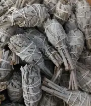 Smudge Stick White Sage Mini (9cm) - TORCHES - Bulk Pack of 12
