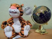 1999 COCA COLA COKE PROMO TIGER INDIA INTERNATIONAL COLLECTION