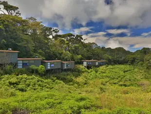 熱帶雨林生態度假村The Rainforest Ecolodge