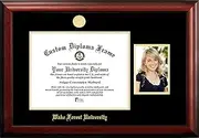 NCAA Wake Forest Demon Deacons Unisex Wake Forest University 14 x 11 Inches Gold Embossed Diploma Frame with 5 x 7 Inches Portrait Gold Embossed Diploma Frame with 5 x 7 Inches Portrait Brown One Size
