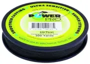 Power Pro Braided Spectra Fiber Micro Fishing Line 300Yd Moss Green 21100200300E