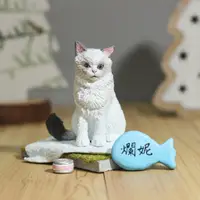 在飛比找蝦皮購物優惠-【客製寵物】客製 貓咪 布偶貓 貓 模型 公仔 寵物客製 禮