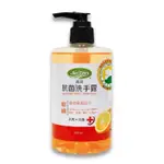 《潔芬》抗菌洗手露350ML (柑橘)