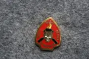 Military Hat | Lapel Pin: Marine Corps 2nd Reconnaissance Battalion Pin (1")