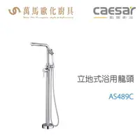 在飛比找樂天市場購物網優惠-CAESAR 凱撒衛浴 AS489C 立地式浴用龍頭 免運