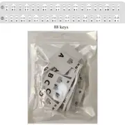Piano Keyboard Note Labels - Silicone Strips for Beginners and Kids Practice