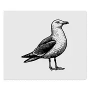 2 x 'Herring Gull' Microfibre Lens / Glasses Cleaning Cloths (LC00028107)