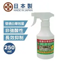 在飛比找PChome24h購物優惠-日本壁癌白華溶解劑250ML