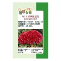 在飛比找momo購物網優惠-【蔬菜工坊】H24.頭狀雞冠花種子(紅色、高40-60cm)