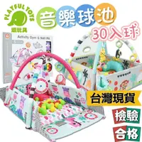 在飛比找鮮拾優惠-【Playful Toys 頑玩具】球池 兒童玩具 健力架 