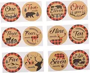 GLSTOY Monthly Milestone Decal Sticker Baby Monthly Milestone Decals Photo Prop Set Newborn Growth Chart