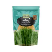 Untamed Health Organically Grown Sprouting Seeds Wheat 100g