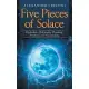 Five Pieces of Solace: Psychedelic, Philosophy, Plumbing, Prophecy and Peacemaking