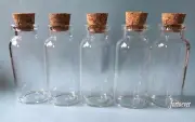 2pcs 20ml Empty Sample Vials Clear Glass Bottles with Corks Jars 65*28*12.5mm
