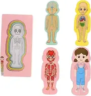 NAMOARLY Body Learning Toy Wooden Human Body Puzzle Set Early Learning Toy Educational Puzzle for Toddlers