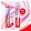 高露潔Colgate 高露潔高密細絲護齦牙刷3入/組