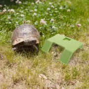 Turtle Platform Large Basking Tank Landscaping Decor Accessories