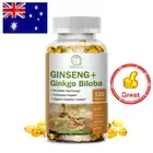 Ginseng Ginkgo Biloba Capsules Boost Memory Support Cognitive Function 120Pcs