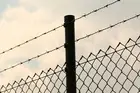 Black Barbed Wire Galvanised then PVC Coated - 100m Rolls - Barb 2.7mm Mesh