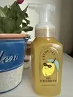 1 New SUGARED LEMON ZEST BATH & BODY WORKS GENTLE FOAMING HAND SOAP