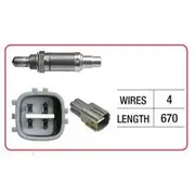 RAE Oxygen Sensor - OX568