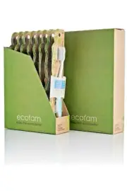 EcoFam Compostable Toothbrush with Silver Anti-Microbial Bristles (8 pack)