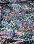 1.5 Yards Stanley King Studios Screen Print Fabric Teflon Finish 54" Floral VTG