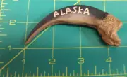 Alaska Resin Bear Claw Shaped Magnet W/ ALASKA etched New Alaska Souvenir Magnet