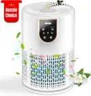 Air Purifier for Home Bedroom H13 HEPA Filter Removes Smoke Pet Dander Odor Dust