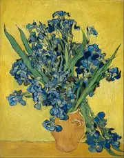 Vincent van Gogh - Irises Painitng Canvas Print wall home Decor