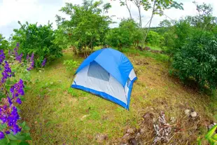 Camping At Magic Mountain Retreat