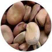 Dried Broad Beans (Fava Beans) - 450 gm