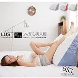 在飛比找遠傳friDay購物優惠-LUST寢具【日系靠枕-纖瘦美人抬腿枕 抱枕】