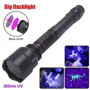 UV Light Blacklight 5W 365nm LED Flashlight Inspect Torch USB Rechargeable