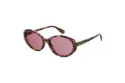 Polaroid Pink Plastic Sunglasses