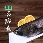 【基隆區漁會】嚴選石斑魚(550±50G) 3包