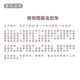 心葉球蘭南非龜甲龍爬藤架鐵藝山烏龜花支架鐵線蓮盆栽植物花架 樂樂百貨