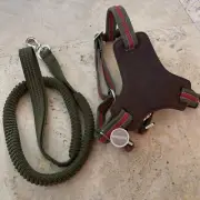 Dog Harness Step-in M 20-50 Lb, Olive, REFLECTIVE + Matching Leash! Vibrant Life