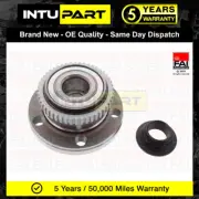 Fits Fiat Scudo Peugeot Expert Citroen Dispatch IntuPart Rear Wheel Bearing Kit