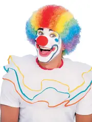 Afro Rainbow Clown Costume Wig