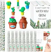 Fuyoooo 50 Sets Cactus Back to School Gifts for Student with Cactus Pencil Potted Eraser Potted Pencil Sharpener Card Bags First Day of School Gifts for Classroom Stationery Supplies