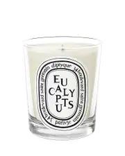 Diptyque Eucalyptus Scented Candle