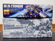 2 Types Of Mg, Unassembled, Mg 1/100 Rx-78-2 Gundam Ver.3.0 Storm Bringer P.F. M