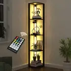 Corner Shelf with Light, Modern Home Decor Stand Floor Lamps with Storage She...